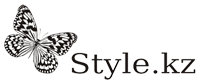 Style.KZ logo