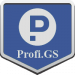 Profi.GS  – сайт компании по ремонту и строительству